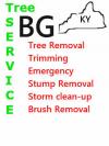 Photo for Jeffersonville Tree Service