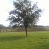 Photo for Hernandez Landscaping