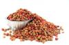 Photo for UAE Pet Food Market 2019 Share, Current Trends, Opportunities, Growth Size & Forecasts 2024
