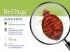 Photo for Bed bug heat treatment