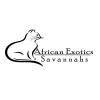 Photo for African Exotics Savannahs
