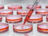 Photo for Cell Culture Market Analysis and Demand Estimated By Global Players Thermo Fisher Scientific, Inc., GE Healthcare