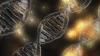 Photo for Molecular Cytogenetics Market New Opportunities For Growth Till 2026