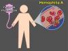 Photo for Hemophilia Treatment Market Insights,Status, Government Policies and Outlook 2019-2026