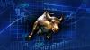 Photo for Momentum Options Trading