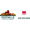 Photo for Foothills Veterinary Hospital