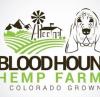 Photo for Bloodhound Hemp Farms LLC