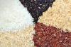 Photo for Organic Rice Market 2019 Size, Share, Analysis, Industry Demand and Forecasts Report to 2024