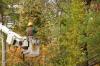 Photo for St Joseph’s Tree Service