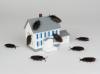 Photo for A Pest & Termite Management Specialist