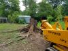 Photo for Chris' Professional Stump Removal