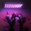 Photo for Grow Lights Market Research , Size, Growth, Trend and Forecast to 2022 | MarketsandMarkets
