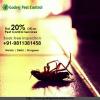 Photo for Pest control Gurgaon | Termite treatment Gurgaon