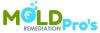 Photo for Mold Remediation Pros St Louis