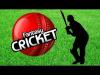 Photo for How Could be Fantasy Cricket is Becoming a Multi-Billion Business in 2019 in India