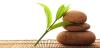 Photo for Body Massage Spa Gurgaon