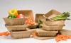 Photo for Biodegradable Packaging Market Dynamic, Overview, Outlook and Forcast 2026