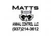 Photo for Matts Animal Control LLC