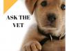 Photo for Choose Pet Dental Specialist at askthevetatl.com