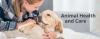 Photo for Pet Health Products Market provides an in-depth insight of Sales and Trends Forecast to 2026