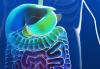 Photo for Opioid Induced Side Effects Treatment Productsent Market Segments by Product Types, Manufacturers, Regions and Application Analysis to 2026