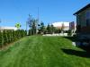 Photo for Professional Residential and Commercial Landscaping Services