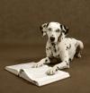 Photo for Pawsitive Perspective Animal Training
