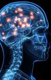 Photo for How Does IntelliRage Brain Booster work?