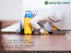 Photo for Top Pest Control Gurgaon | Godrej Pest Control