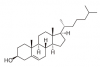 Photo for Phytosterols Market is about to Rebound, Owing to the High Investments