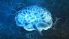 Photo for Neurological Disorder Drugs Market Insights & Growth Forecast during 2018-2026