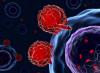 Photo for Cell Expansion Market Current Trends, Research Analysis And Statistics Released In Latest Report