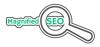 Photo for Magnified SEO