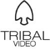 Photo for Tribal Video LLC