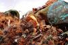 Photo for Rising Awareness Anticipated to Drive Metal Recycling Market During 2025