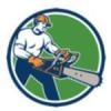 Photo for Tree Service Pros of Huntington Beach
