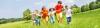 Photo for How Effective is Green Pest Control?