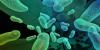 Photo for Global Industrial Microbiology Market Present Chances, Trends, Value Chain And Stakeholder Analysis 2018-2026