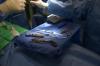Photo for Autopsy Services