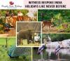 Photo for Plan India Wildlife Tours- Witness Bespoke India Holidays Like Never Before