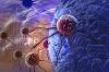 Photo for Biopreservation Market: Growth, Development, Trends, Demand, Share, Analysis and Forecast 2026