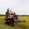 Photo for Cen-Tex Seed Inc