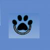 Photo for Pawsitive Practice