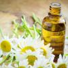 Photo for Global Chamomile Essential Oil Industry Market Outlook 2019 – Growth Drivers, Opportunities and Forecast Analysis to 2025