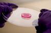 Photo for 3D Cell Culture Market - Industry Insights, Trends, Outlook, and  Analysis, 2018-2026