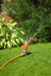 Photo for Mr. Tapia Landscaping
