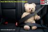 Photo for Global Seat Belt Market Technology Trends in Future, Status and Forecast 2024