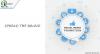 Photo for Digital Marketing Services
