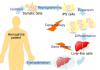 Photo for Hemophilia Gene Therapy Market: Competitive Dynamics & Global Outlook 2026