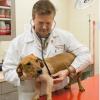 Photo for Get Low Cost Spay And Neuter service in Atlanta